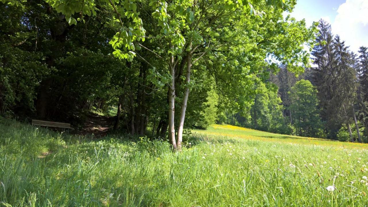 Holiday Home Zillertal - Haus Gigl Bruck am Ziller エクステリア 写真